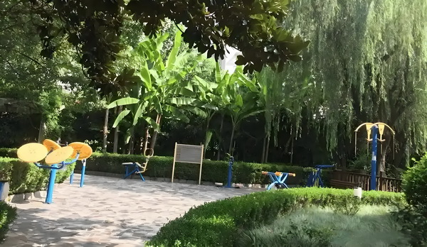 豪放女王爷：大牌淑女