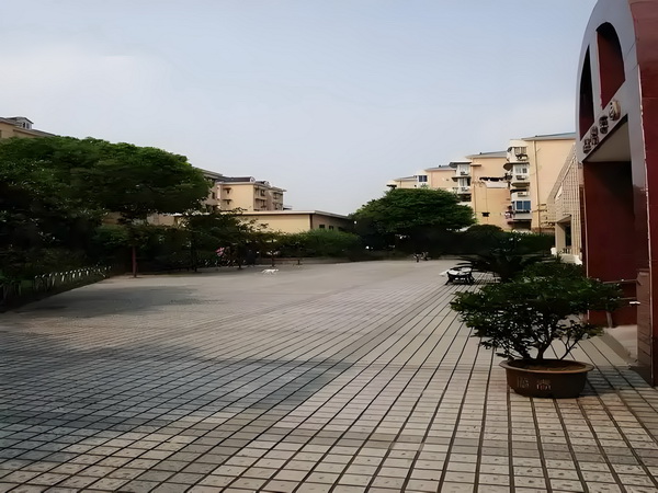 夫道